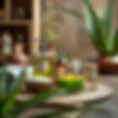 A serene spa setting featuring Aloe Vera products.