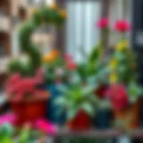 Vibrant balcony flower arrangement showcasing diverse plants