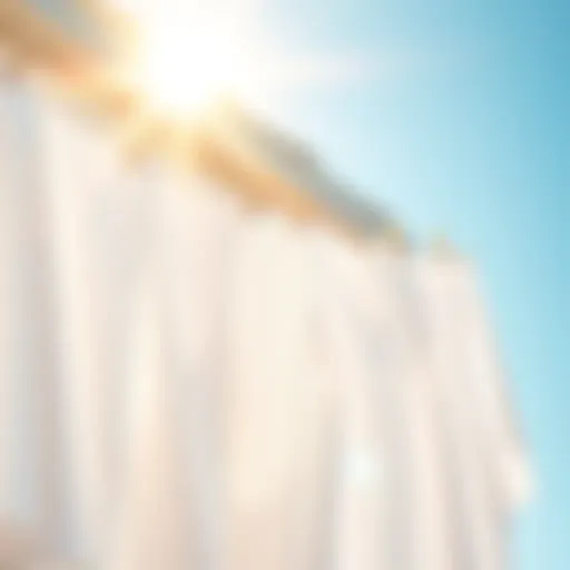 Bright white laundry hanging under sunlight
