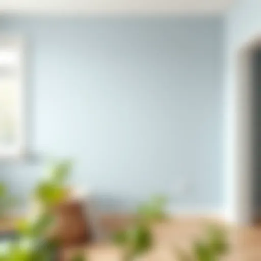 A clean wall showcasing the removal of cadence paint