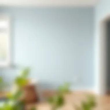 Clean Wall After Cadence Paint Removal A clean wall showcasing the removal of cadence paint