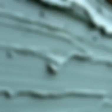 Close-up of paint texture and finish suitable for outdoor use