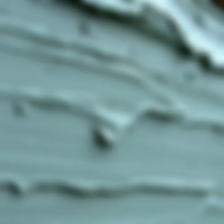 Close-up of paint texture and finish suitable for outdoor use