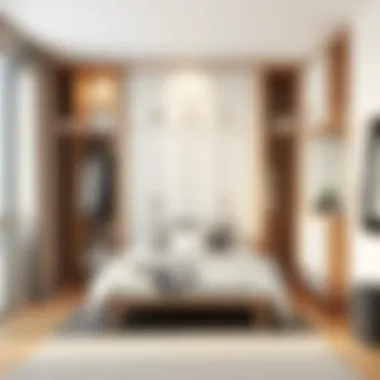 Interior view of a functional wardrobe maximizing space utilization