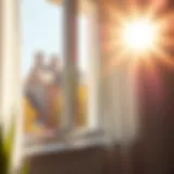 A clean window reflecting sunlight