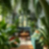 A serene indoor space adorned with lush greenery.