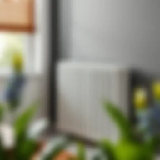 A clean radiator showcasing its efficiency