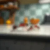 A close-up of ants on a kitchen countertop