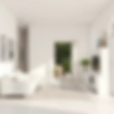 Finished white furniture in a bright setting