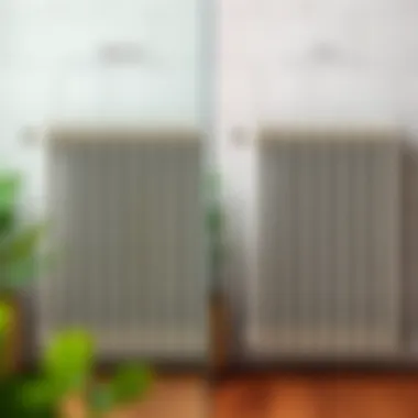 Before and after cleaning comparison of a radiator