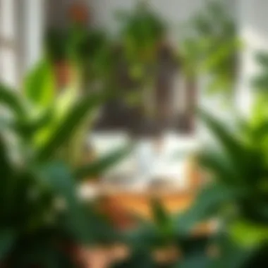 A peaceful reading nook surrounded by thriving plants.