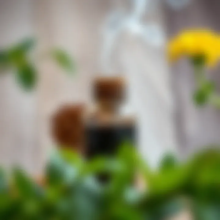 Natural ingredients for odor neutralization