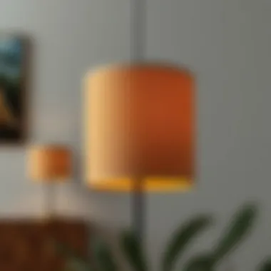 Unique customization options for a cylindrical lampshade, showing personalization