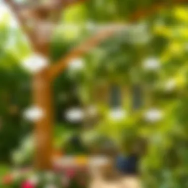 Instructional diagram of shade removal steps