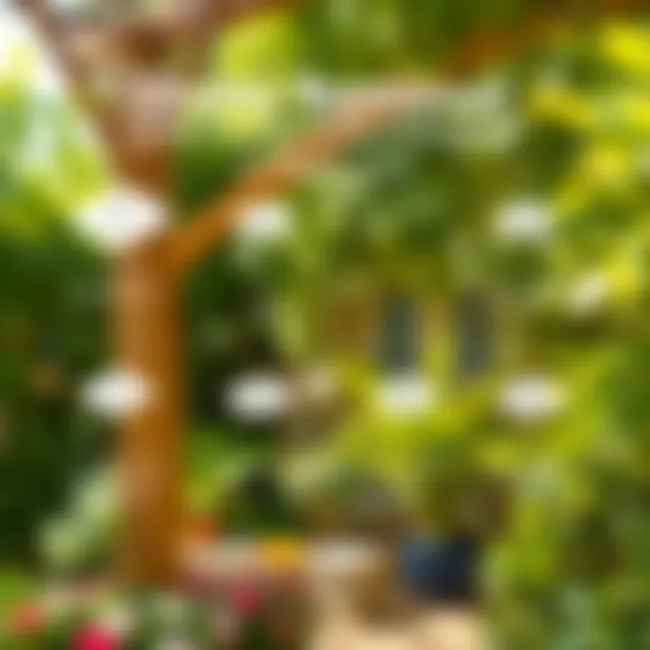 Instructional diagram of shade removal steps