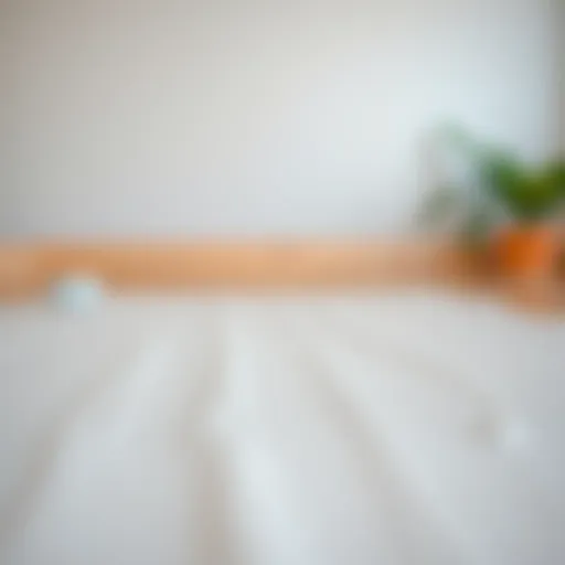 A beautifully painted surface showcasing the results of a two coat paint application