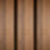 Close-up of a varnished wooden door surface