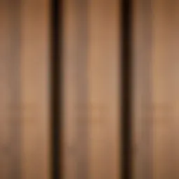 Close-up of a varnished wooden door surface