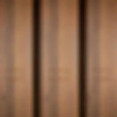 Close-up of a varnished wooden door surface