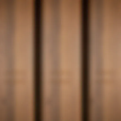 Close-up of a varnished wooden door surface