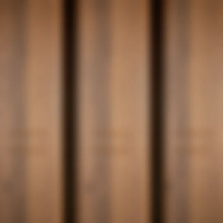 Close-up of a varnished wooden door surface